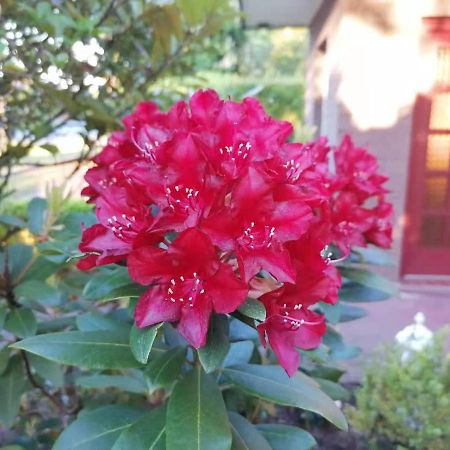 达吉公寓 鲁纳 外观 照片