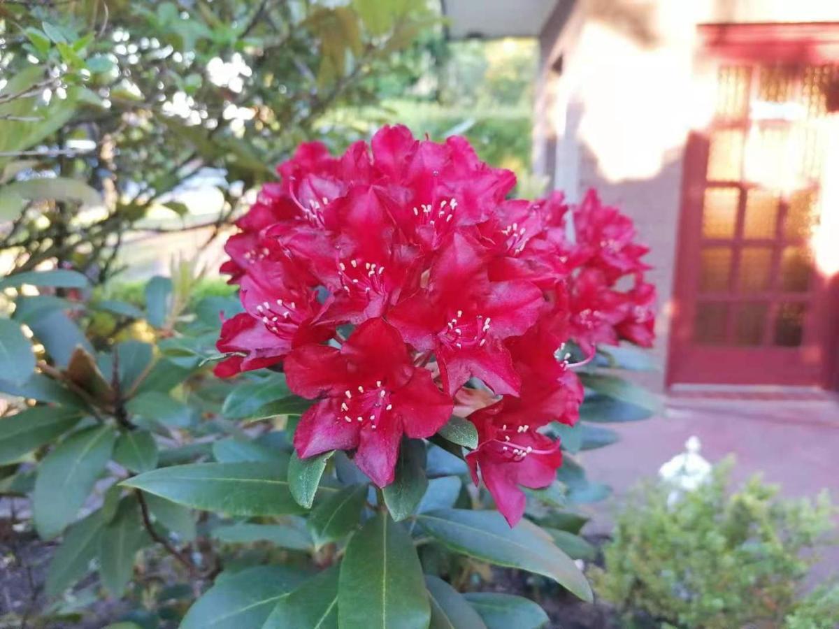 达吉公寓 鲁纳 外观 照片